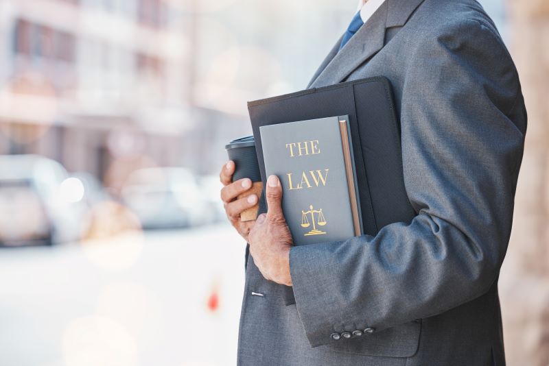 Conocimiento legal experto
